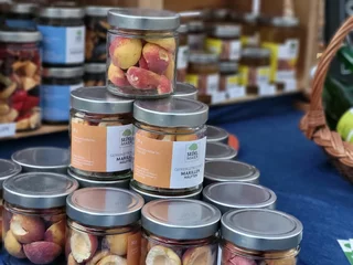 Gefriergetrocknete Marillen